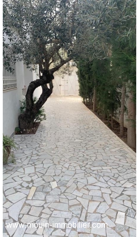 WhatsApp Image 2022-06-02 at 09.18.17