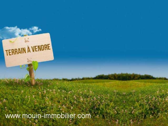 a_vendre_terrain_Hammamet