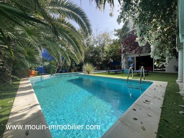 641078029_4340252959622653_5842092834700308374_n