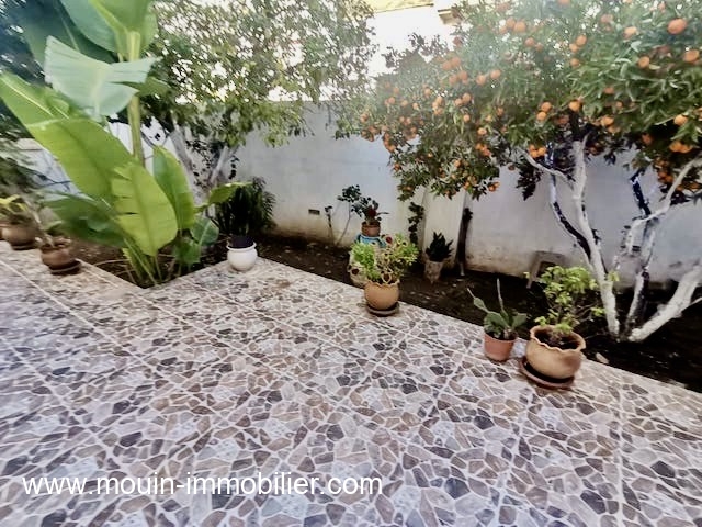 WhatsApp Image 2026-01-27 at 16.59.51 (1)