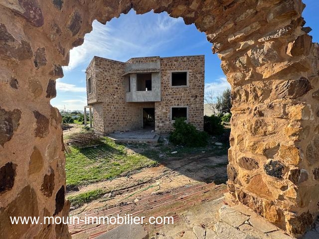 WhatsApp Image 2024-11-13 at 15.26.55