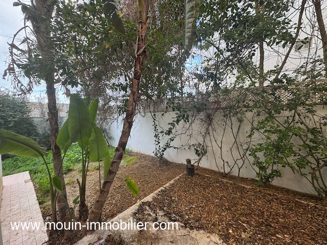 WhatsApp Image 2024-12-24 at 13.48.13 (3)