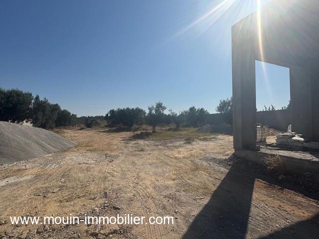 WhatsApp Image 2025-06-13 at 18.12.18 (3)