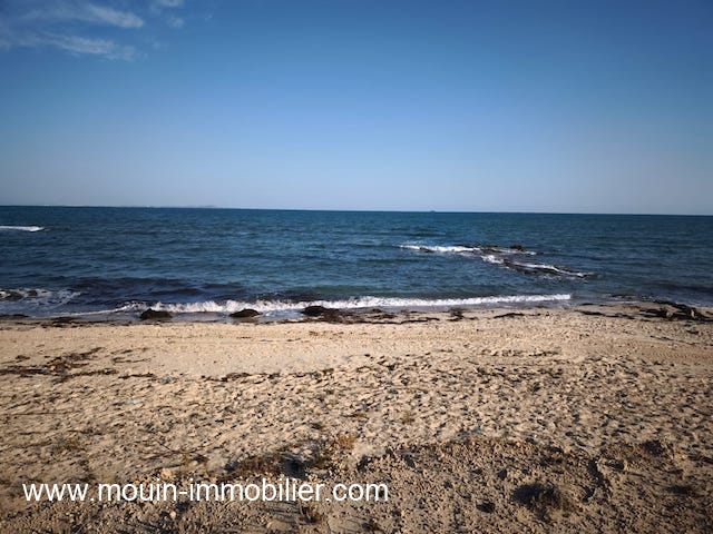 WhatsApp Image 2025-10-14 at 18.02.38 (4)