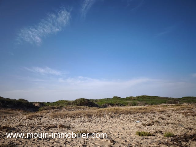 WhatsApp Image 2025-10-14 at 18.02.39 (1)