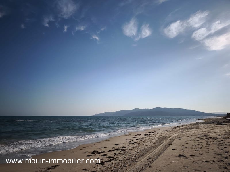 WhatsApp Image 2025-10-14 at 18.02.39 (2)