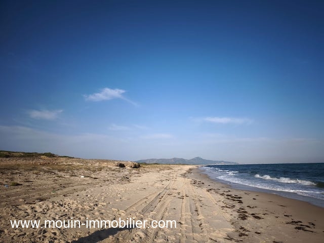 WhatsApp Image 2025-10-14 at 18.02.39 (3)