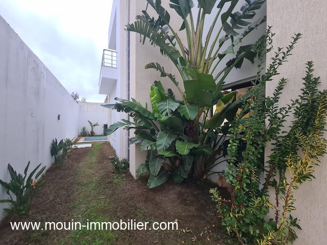 WhatsApp Image 2025-12-19 at 16.18.47