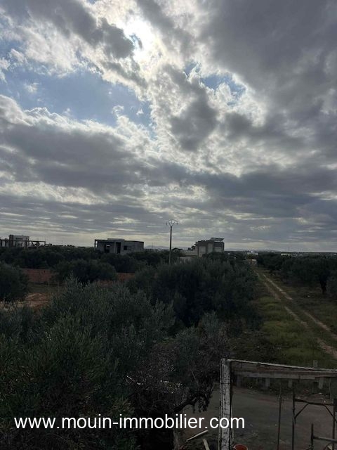 WhatsApp Image 2026-01-09 at 10.23.47 (2)