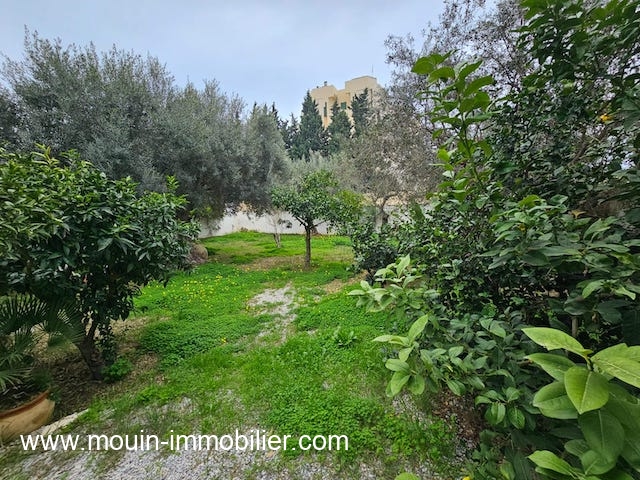 WhatsApp Image 2026-02-05 at 13.34.30