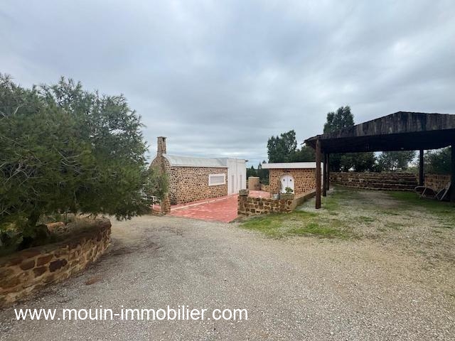 WhatsApp Image 2026-01-17 at 11.35.44