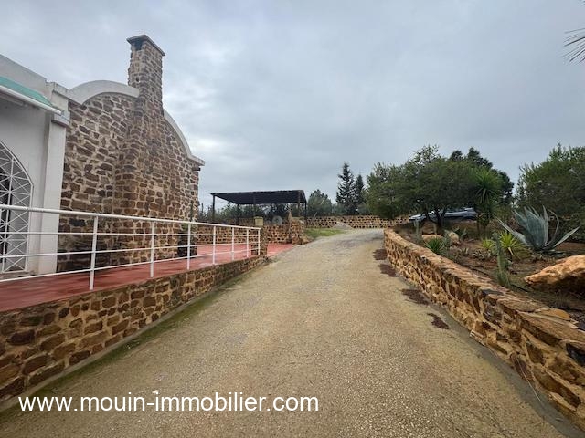 WhatsApp Image 2026-01-17 at 11.35.44 (2)