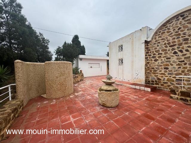 WhatsApp Image 2026-01-17 at 11.35.45 (1)