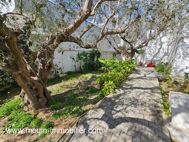 WhatsApp Image 2026-02-16 at 12.56.44 (1)