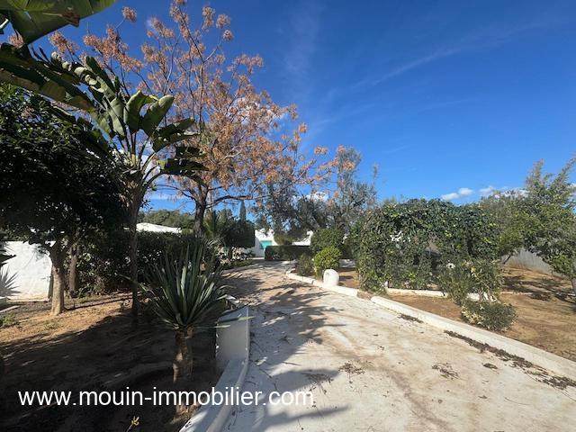 WhatsApp Image 2026-01-23 at 17.44.28 (3)