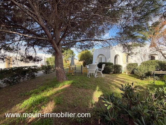 WhatsApp Image 2026-02-10 at 17.13.24