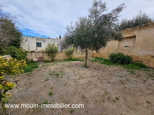 WhatsApp Image 2026-02-13 at 13.41.55