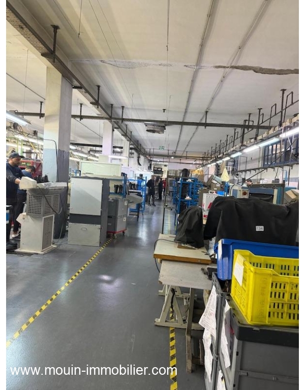 WhatsApp Image 2026-02-16 at 17.38.00