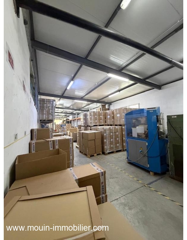 WhatsApp Image 2026-02-16 at 17.38.01