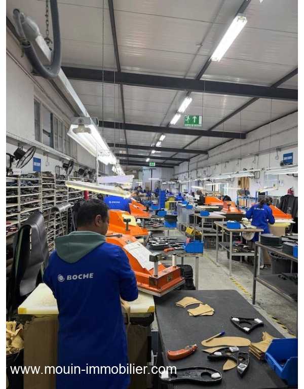 WhatsApp Image 2026-02-16 at 17.38.01 (1)