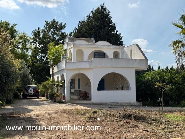 WhatsApp Image 2026-02-14 at 17.44.37