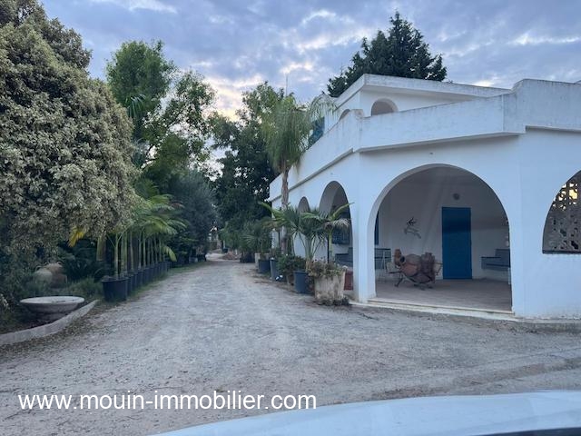 WhatsApp Image 2026-02-14 at 17.44.39 (6)