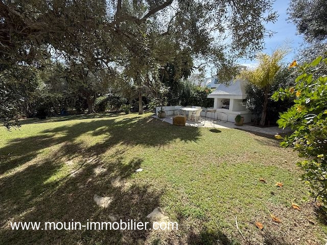 WhatsApp Image 2026-02-16 at 17.08.20 (1)