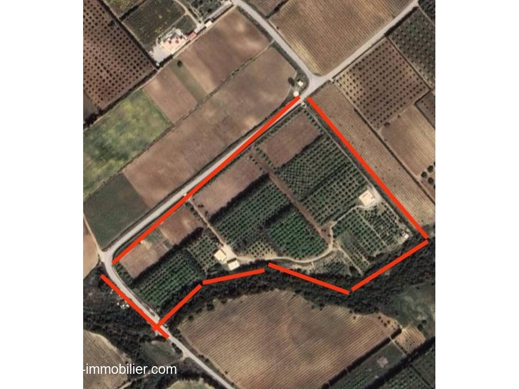 WhatsApp Image 2026-03-12 at 16.05.57