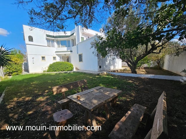 WhatsApp Image 2026-03-19 at 10.41.03