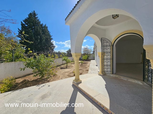 WhatsApp Image 2026-03-19 at 10.41.05 (4)