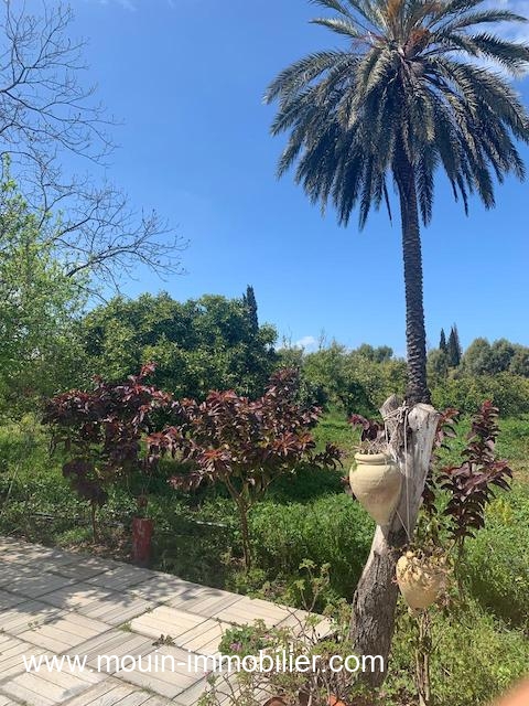 WhatsApp Image 2026-04-01 at 15.08.44