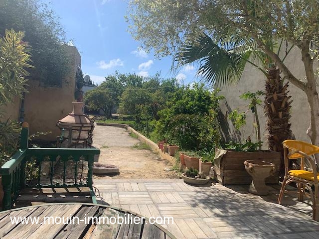 WhatsApp Image 2026-04-01 at 15.08.44 (4)